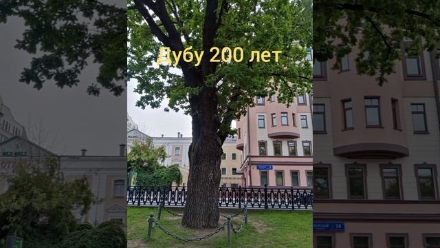 YouCut_20250706_224254511.mp4
