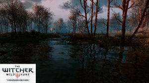 Плюсы и минусы трассировки лучей в Третьем Ведьмаке