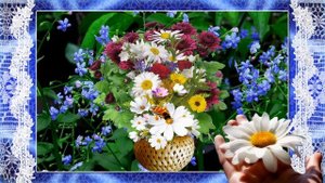 С 50-летием женщине