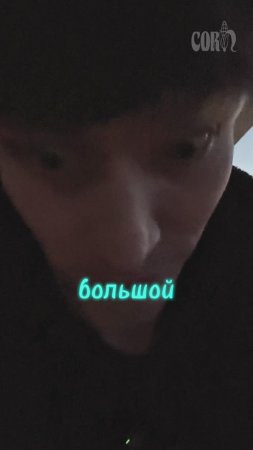 новый член команды))
