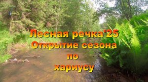 Лесная речка'25. Открытие сезона по хариусу