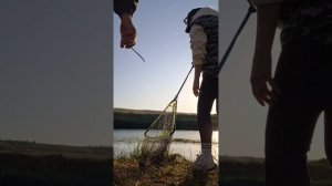 Рыбалка на леща на реке егорлык