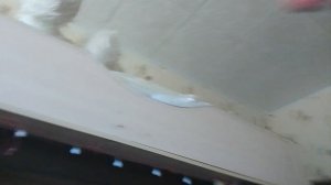 ПИРОЖОК СПАСАЕТ СВОИХ ДРУЗЕЙ