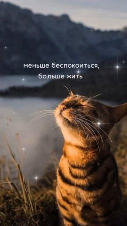 Просто жить...😌 ©DegDi🔥