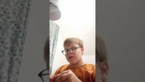 сборка робопесов