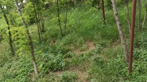 3-5 июля 2025 г. Три очень насыщенных дня)