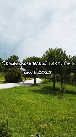 Орнитологический парк, Сочи. Июль 2025