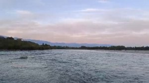Слияние рек Кокса и Катунь: удивительное природное явление Алтая 🌊🌿