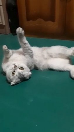 Скоро весна месяц апрель Шелли