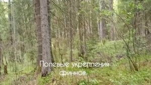 Бывшая пограничная деревня Липола