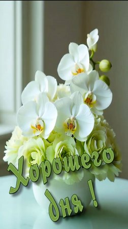 Хорошего дня !