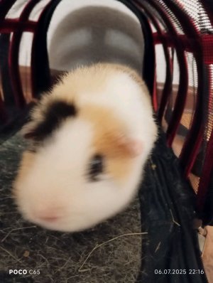 Играю с Костей