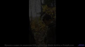 Тот случай, когда видео не хочется выключать - A Mile or more in a Foreign Clime -- 10 Echo -- Unnam