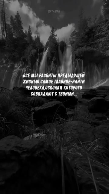#891 Цитата дня. Мотивация.