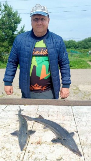 Выходной=)
