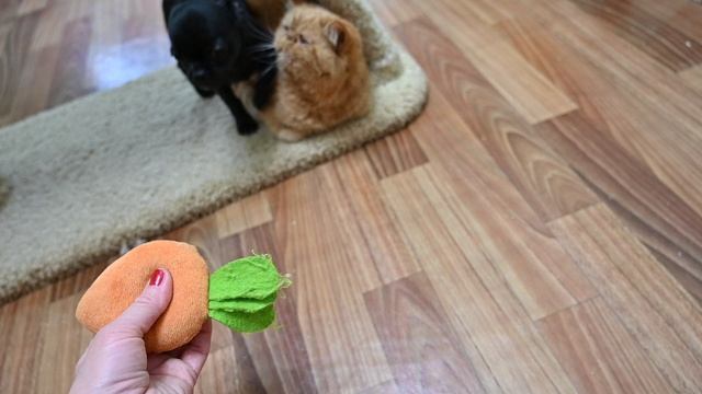 DSC_2862 смотреть онлайн