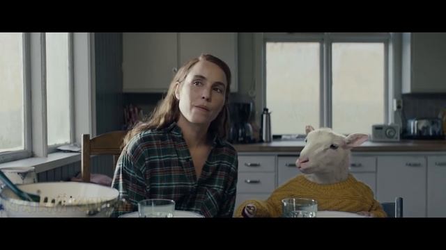 На ферме родился гибрид человека и овцы  !