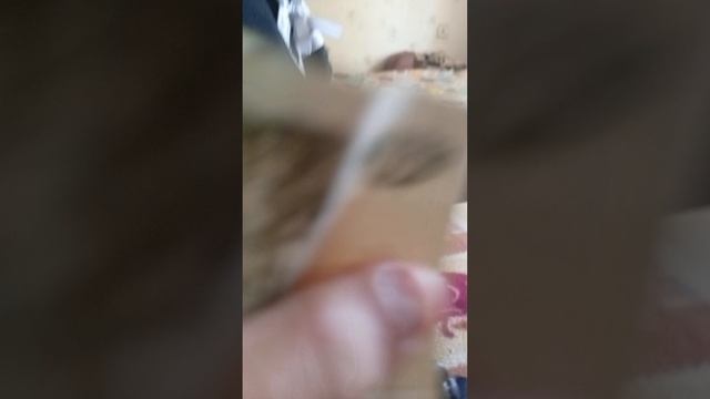 1000003121.mp4