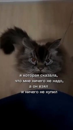 обида