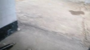 06-07-2025 свят свят наш дом