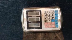 поимка карпа на 4.3 кг в большом водоёме