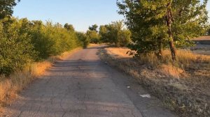 Я по улице гуляю,
Свежим воздухом дышу.
Что увидел я, что знаю
Хоть сейчас вам расскажу.