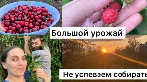 Будни многодетной семьи