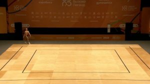 спортивная аэробика (2)