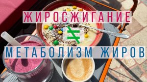ХУДЕЕМ К СТАРТУ | Как сжечь лишний жир, сохранить мышцы и тренироваться в полную силу
