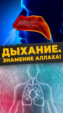 ДЫХАНИЕ УНИКАЛЬНОСТИ
#мирадио
