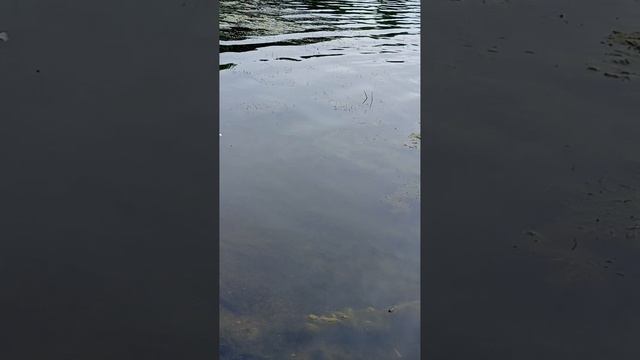 1000022018.mp4