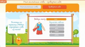 Изучаем тело человека на английском - English Journey