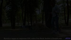 Это видео - как глоток свободы для вашей души! - resist psychic death -- los pilotos -- starfish