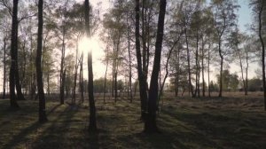 7 июля - День раскрытия сердца и прощения.