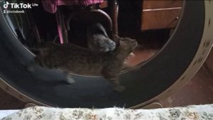 Держи себя в форме!