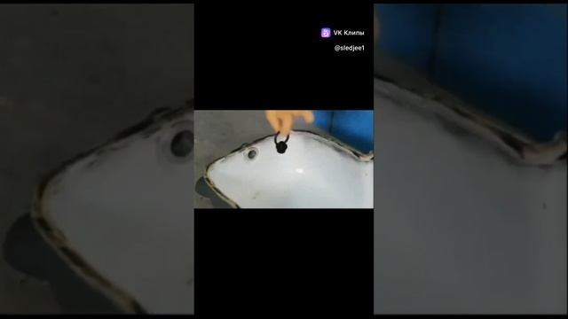 1000505443.mp4