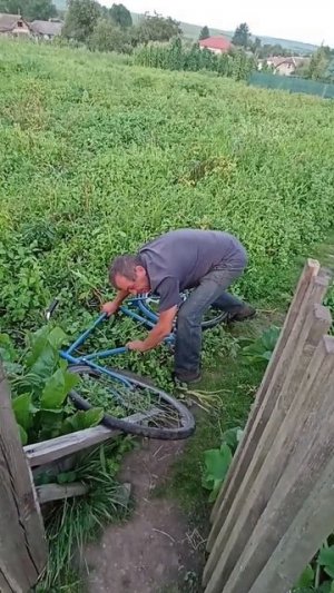 Животные приколы и не только