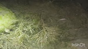 Ночное побережье Избербаша