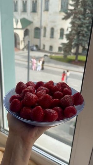 🍓🍓🍓