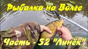Рыбалка на Волге. Часть - 52. "Линёк".