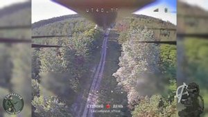 Птичка напела на несколько роковых встреч с транспортными средствами ВСУ.  Работает FPV-расчёт...