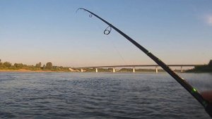 Ловлю рыбу в городе. Короткая утренняя рыбалка.