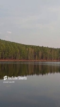Лесное озеро