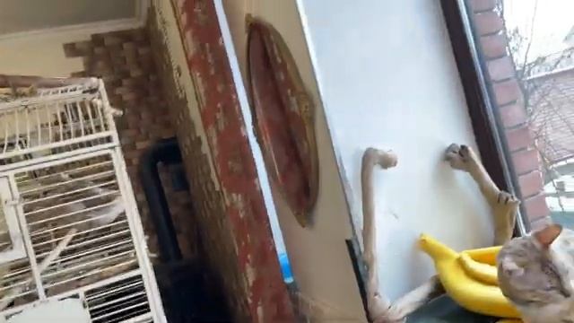 Утренняя тусовка в главном зале.
