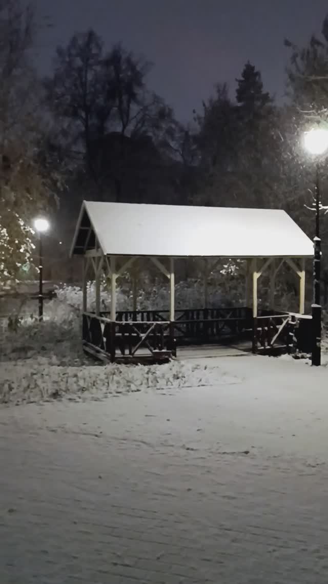 Беседка. Парк Березовая Роща. Москва 04.11.2024 (04:04) (м. Полежаевская. м. Зорге).