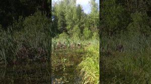 рыбалка