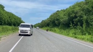 Медвежий КПП появился на трассе на Камчатке водители вынуждены давать «на лапу