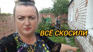 ВСЁ СКОСИЛИ