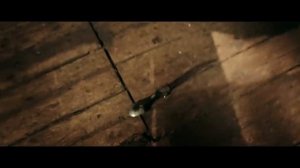 YE BANISHED PRIVATEERS - Raise Your Glass (Official Video) | Napalm Records