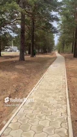 На прогулке